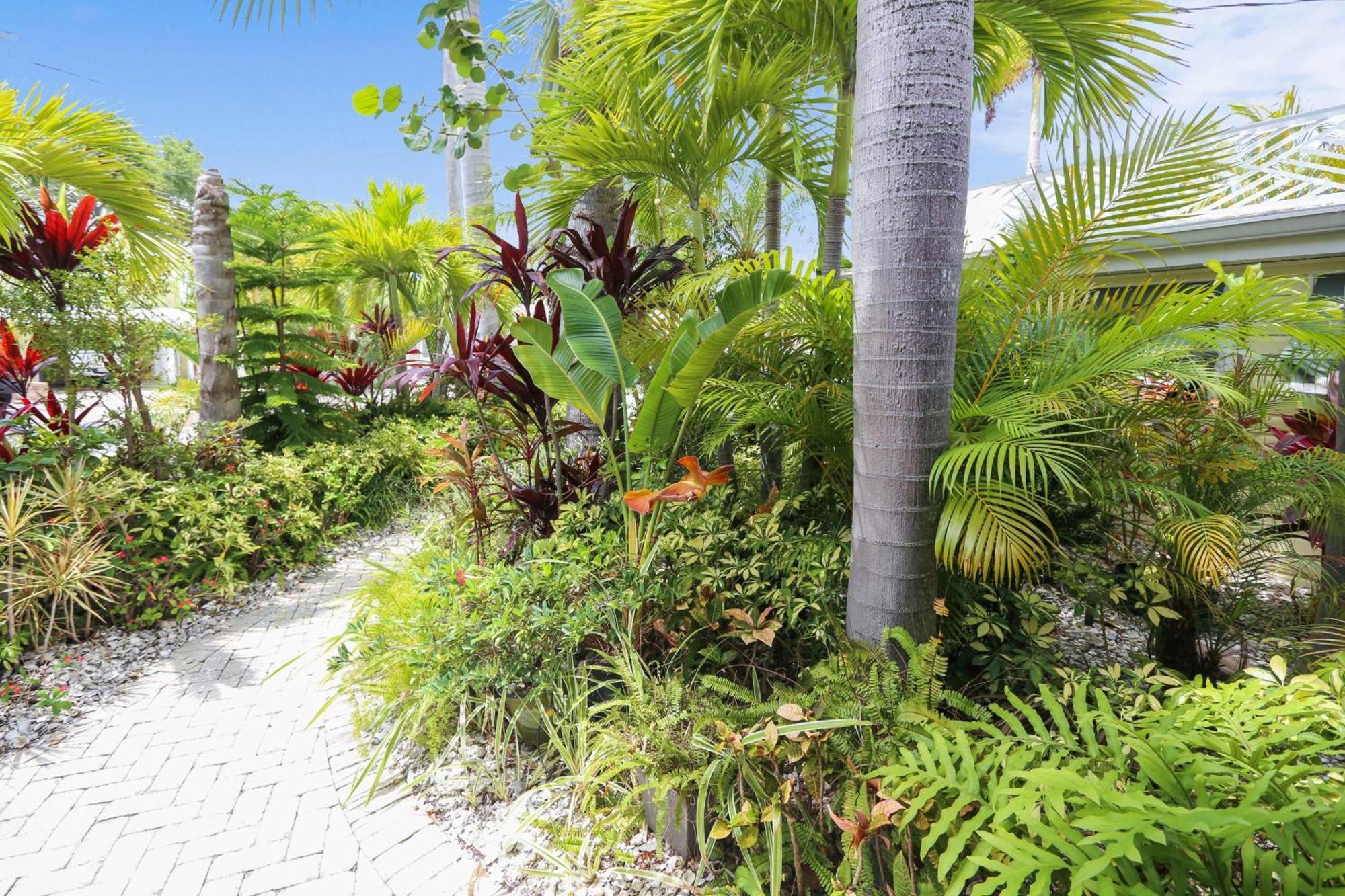 Coconut Paradise St. Pete Beach Eksteriør bilde